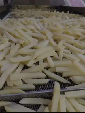 فينكر (بطاطس مقلية مجمدة)