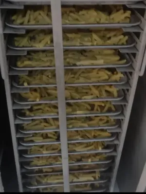 فينكر (بطاطس مقلية مجمدة)