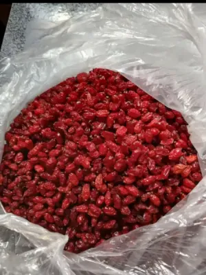 زرشک ایرانی