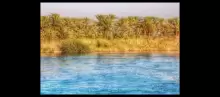 محافظة القادسية: قلب العراق الجنوبي وتاريخها العريق
